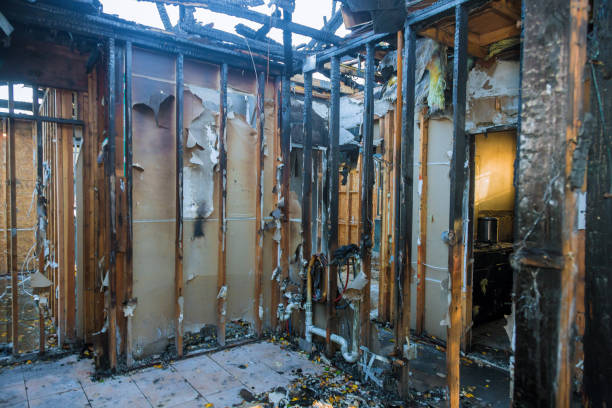 Professional Odor Removal technician working in Severn, MD