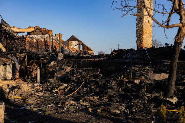 Reliable Odor Removal contractor in Severn, MD by Fire Damage Doption