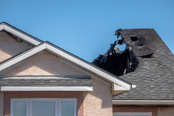 Top rated local Odor Removal specialists in Severn, MD